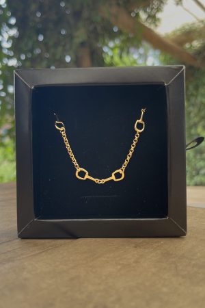 Chocker Elo Portugues Bridão Folheado a Ouro 18K