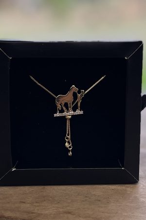Colar Veneziana Gravata 80cm Pingente Mulher e Cavalo Cravejado em Prata 925