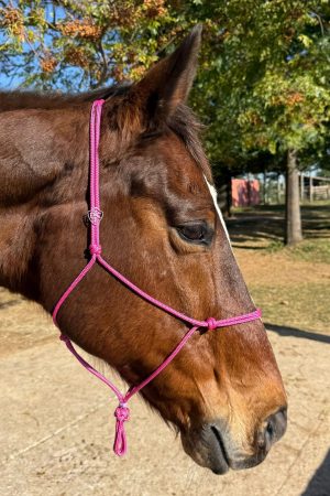Cabresto UC Manejo cor:Rosa Com Detalhes em Lilás