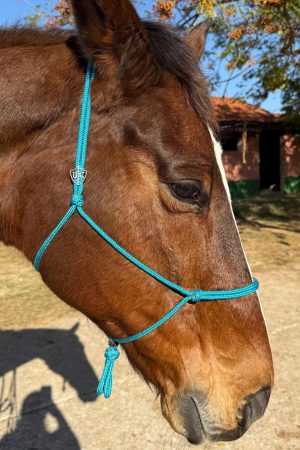 Cabresto UC Manejo cor:Azul Turquesa