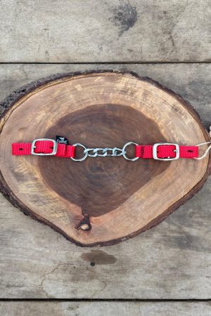 Barbela de Nylon Simples com Corrente Cor:Vermelho